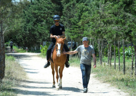 Əlilliyi olan uşaqlar üçün növbəti hippoterapiya tədbirləri təşkil olunub