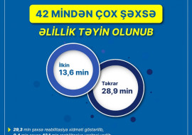 Bu il 42 mindən çox şəxsə əlillik təyin olunub