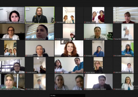 Dövlət Tibbi-Sosial Ekspertiza və Reabilitasiya Agentliyinin əməkdaşları üçün insult sonrası reabilitasiya mövzusunda onlayn təlim keçirilib