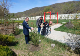 Reabilitasiya müəssisələrində ağacəkmə aksiyaları keçirilib