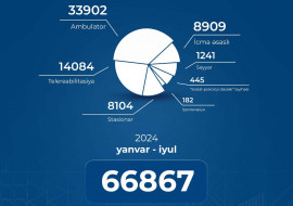 Yanvar-iyul aylarında əlilliyi olan 67 min şəxsə reabilitasiya xidmətləri göstərilib